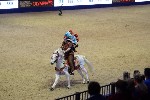 Quadrille - 00337